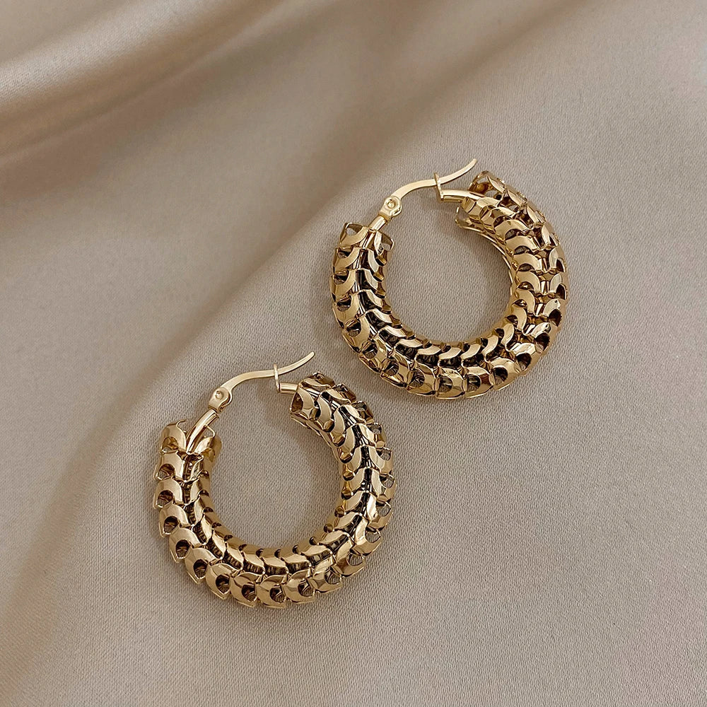 “Stainless steel gold geometric mesh hoop earrings, trendy stylish jewelry gift women.”