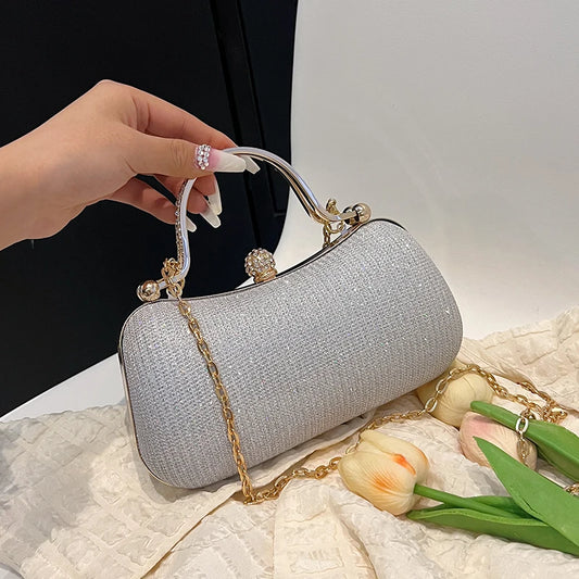 “Chain evening bag, dinner shoulder handbag, vintage crossbody satchel for women, fashion accessory.”