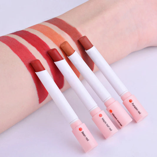 “4 pcs/set Long Lasting Matte Lipstick Set Waterproof Nude Lip Gloss Cosmetics”