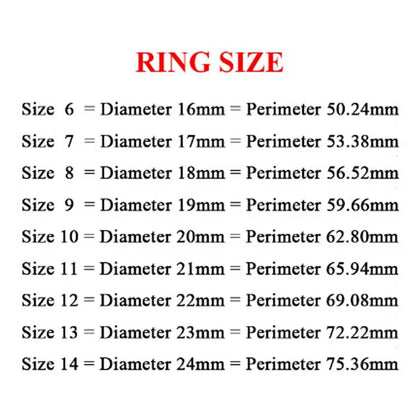 “Classic Stainless Steel Roman Digital Ring Waterproof High Quality Punk Jewelry Gift.”